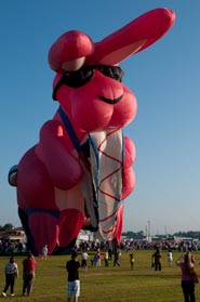 2009 Balloon Derby