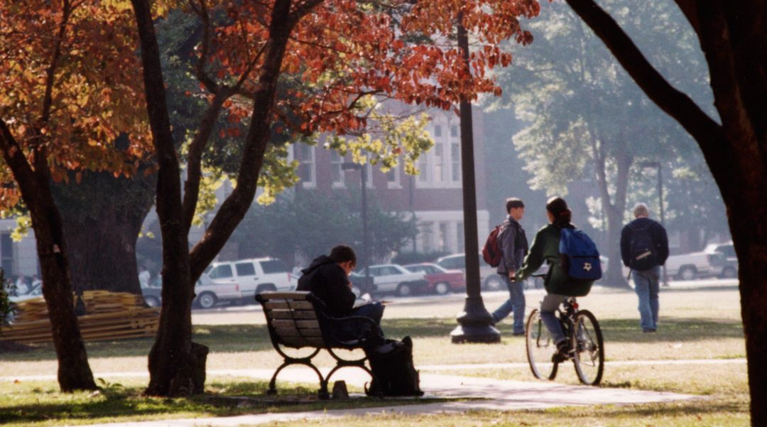 Trees on the Quad